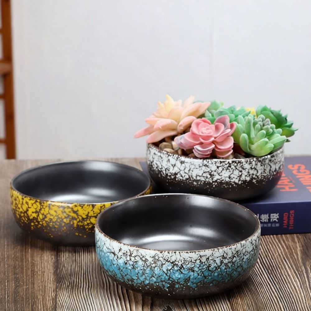 Geniş Ağızlı Seramik Sukulent  - Bonsai Garden Art incelemesi ve fiyatı