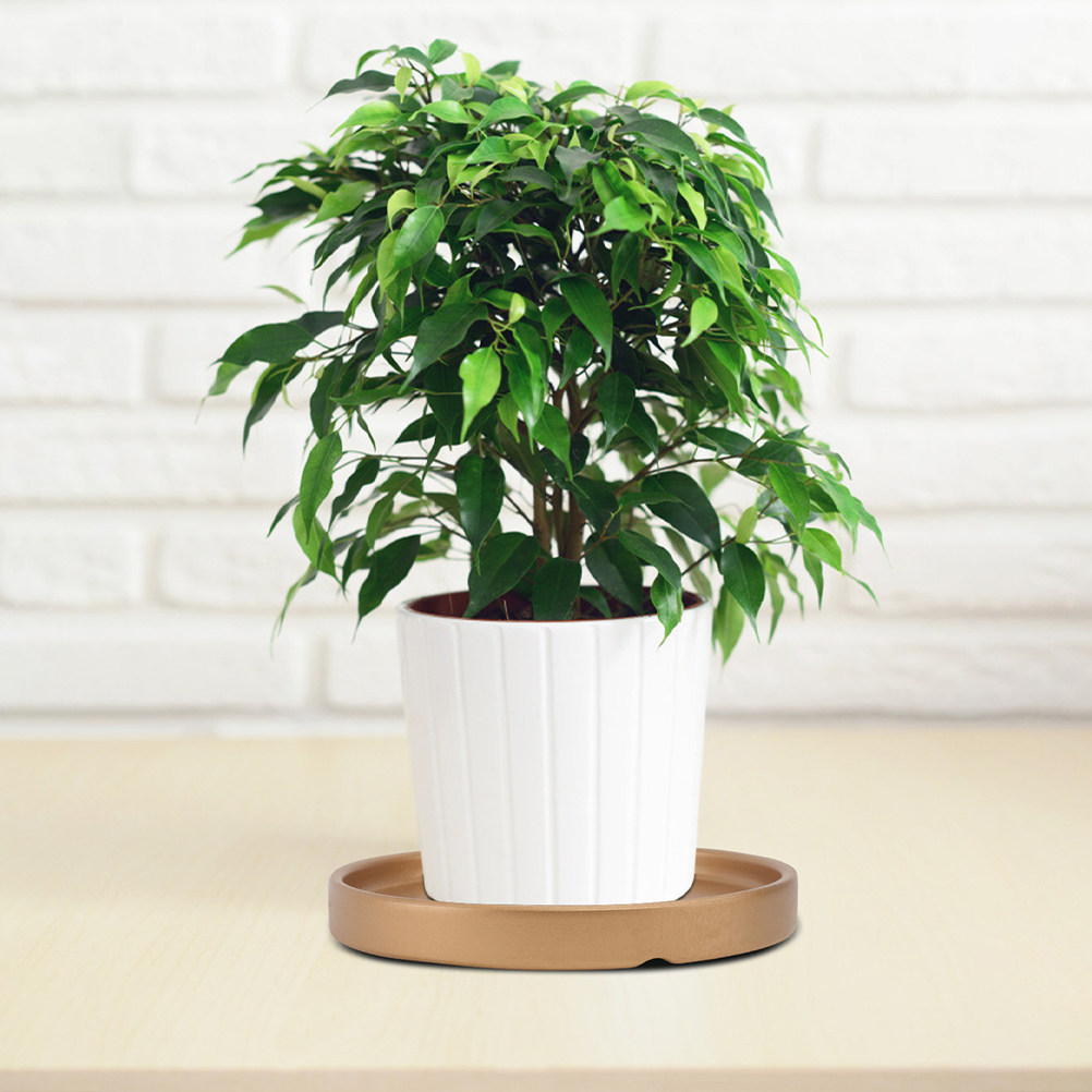 3 Adet Saksı Altlığı, Seramik  - Drip Tray Saucer incelemesi ve fiyatı